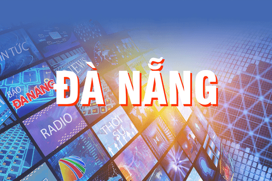 Cho phép thành lập Liên đoàn Bóng chuyền thành phố Đà Nẵng