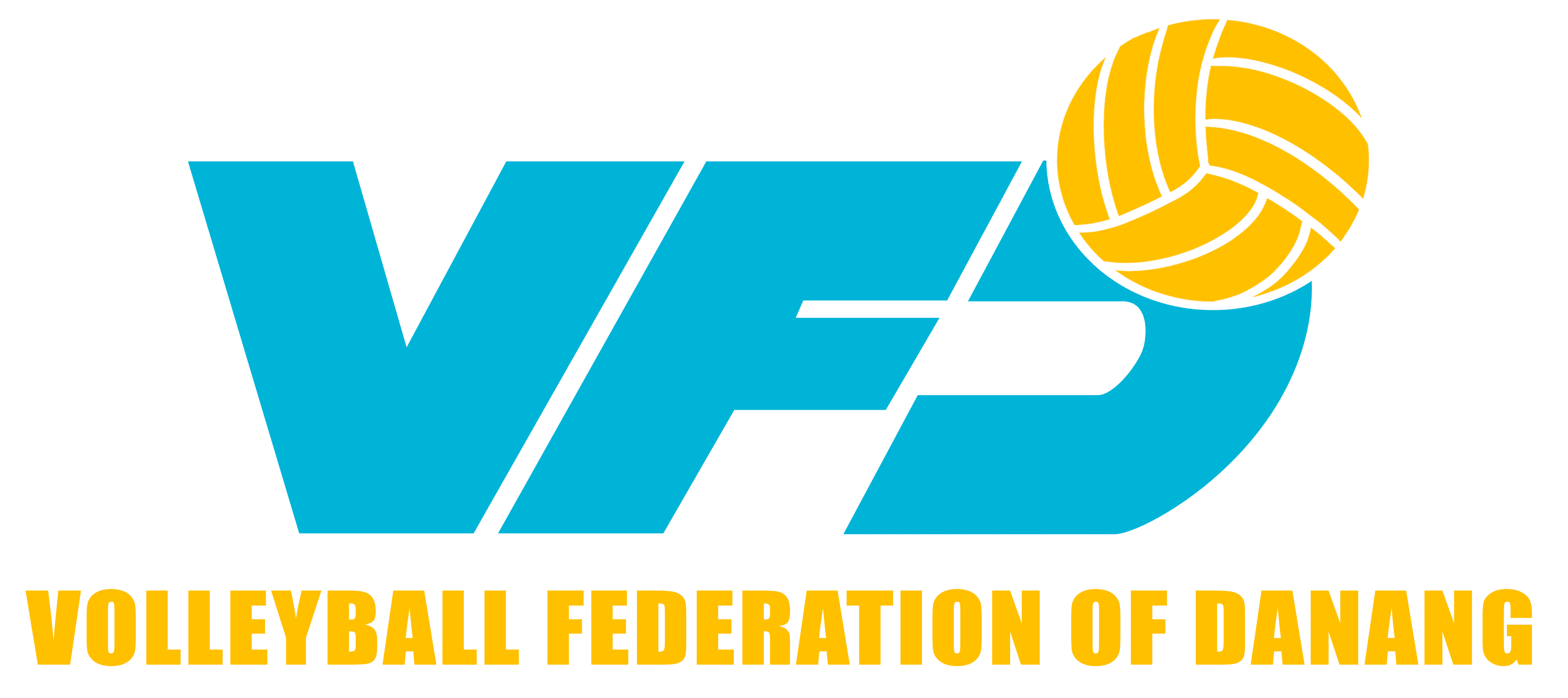 Liên đoàn Bóng chuyền TP Đà Nẵng